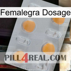 Femalegra Dosage 24